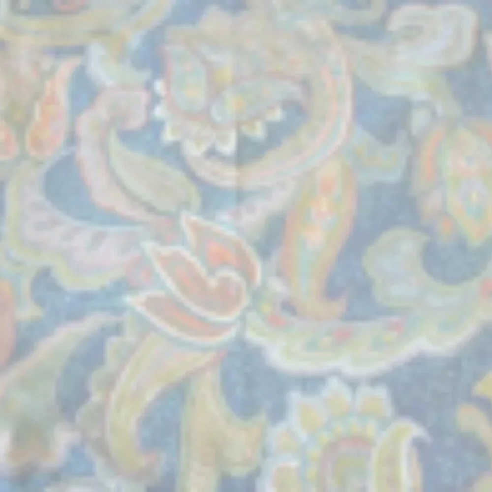Pottery Barn Pillow Sham in Ana Paisley